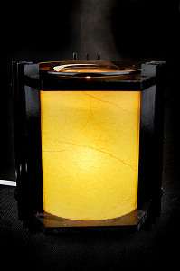 Wooden Electric Aroma Oil Lamp Tart Warmer Burner 300#  