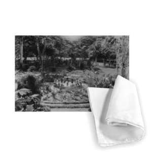  Garden of a Suburban Villa, Port of Spain,   Tea Towel 
