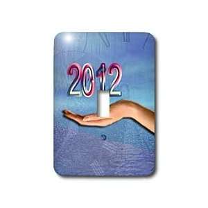 Beverly Turner Design   Time for 2012   Light Switch Covers   single 