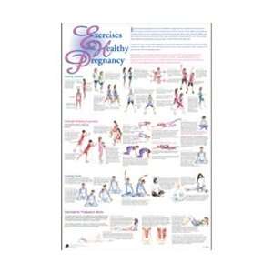 Exercises For A Healthy Pregnancy Chart  Industrial 