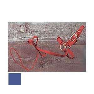  Sheep Show Halter with Lead, 3/4 x 5 Red Everything 