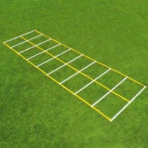 Fisher 15 Double Speed Ladder
