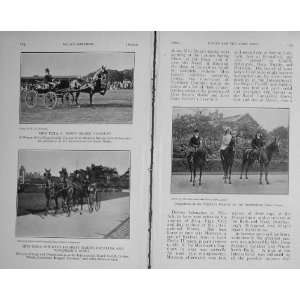  1912 Horses Telltale Halcyon Grey Mist Balfor Show