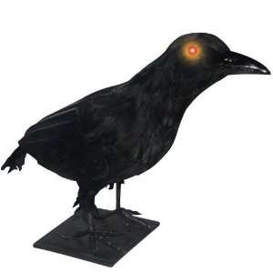  Sunstar Industries Realistic Large Crow 80346 Everything 