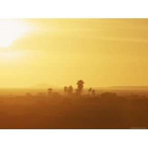 The Setting Sun Bathes the Sahara Desert in a Warm, Orange Glow 