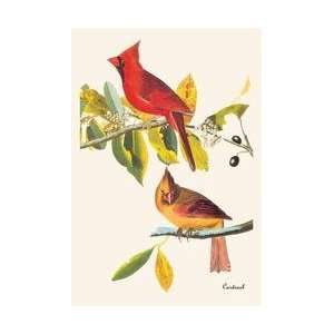  Cardinal 12x18 Giclee on canvas