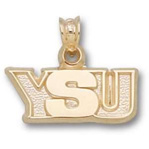 Youngstown State Penguins YSU Pendant   10KT Gold Jewelry  