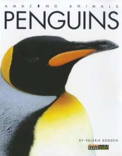 Amazing Animals Penguins