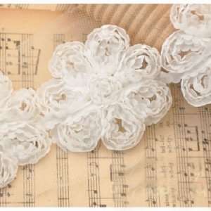 3D Flowers Design Embroidered On Beige Lace Material