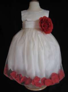 NWT POOL ROSE PETAL FLOWER GIRL DRESS 6 9 12 18 MO  
