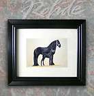 black FRIESIAN HORSE mare foal FRAMED ART equine painti