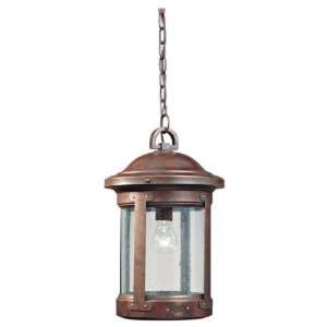 Sea Gull Lighting 6041 44 1 Light HSS CO OP Outdoor Pendant Weathered 