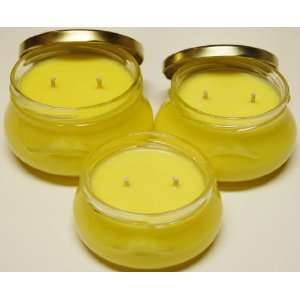  3 Pack of 1   6oz & 1   8 oz & 1   11oz Tureen Soy Candle 
