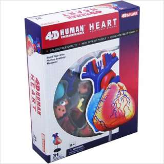 Famemaster 4D Vision 4D Vision Human Heart Anatomy Model 26052 