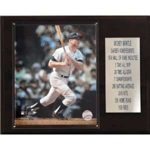  MLB Mickey Mantle New York Yankees Career Stat Plaque 