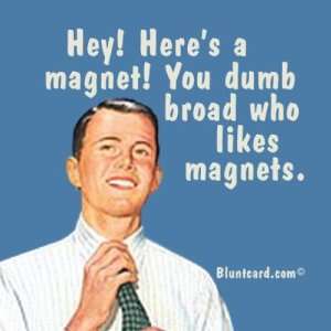  You dumb broad who likes magnets Toys & Games