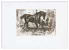 Playing Horses   Print from Intaglio plate, picture, poster 