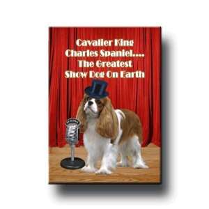  Cavalier King Charles Greatest Show Dog Fridge Magnet No 2 
