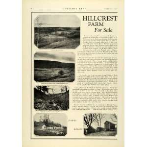   Morse Realty Acreage Agricultural   Original Print Ad
