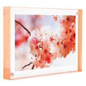   MAGNET FRAME with Peach Edge by Canetti   2.5x3.5
