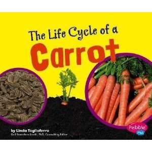  The Life Cycle of a Carrot Linda Tagliaferro Books