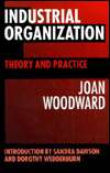 Industrial Organization Theory and Practice, (0198741227), Joan 
