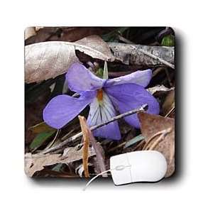   Wildflowers   Wildflowers Birds Foot Violet   Mouse Pads Electronics