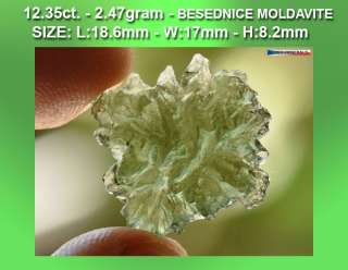 BESEDNICE MOLDAVITE HEDGEHOG RARE PIECE 12.35ct  2.47g  