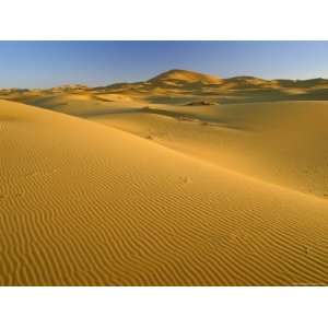  Dunes of the Erg Chebbi, Sahara Desert Near Merzouga 