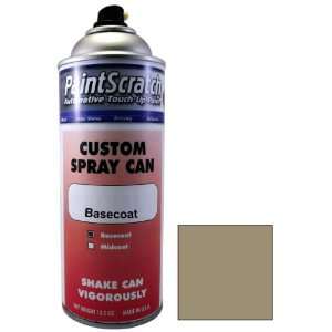   Touch Up Paint for 1989 Nissan Maxima (color code AG3) and Clearcoat