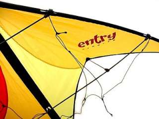 Entry Trick Sport Stunt 2 Line Beginner Kite Quality  