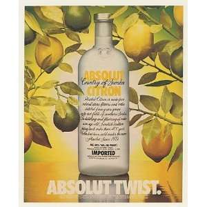 1989 Absolut Twist Citron Vodka Bottle Lemons Limes Print Ad (52122 