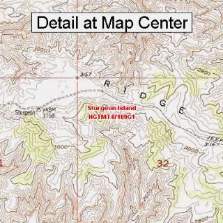  USGS Topographic Quadrangle Map   Sturgeon Island, Montana 