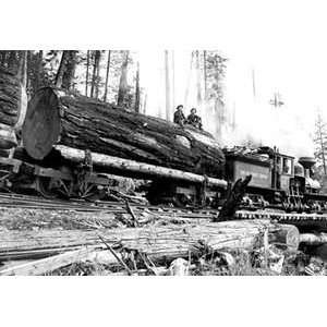 Transporting Fallen Old Growth   12x18 Framed Print in Black Frame 