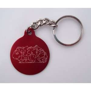   Laser Etched Abyssinian Guinea Pig Key Chain