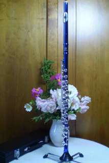 Awesome Blue and Silver Flute Package   Brand New with Bonuses  