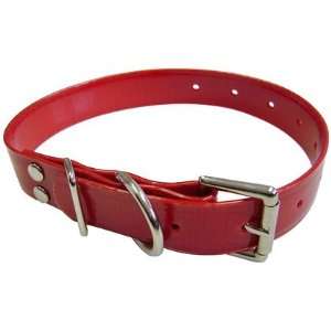 Hamilton Plastic Coated Nylon Webbing Dog Collar   Red (Quantity of 3)
