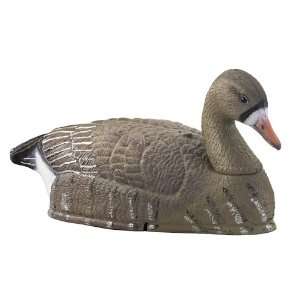   TangleFree Speckle Belly Goose Shell Decoys 12 Pk.