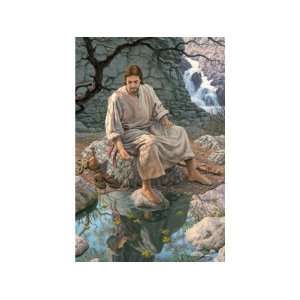  Living Water   1000pc Jigsaw Puzzle by Serendipity Toys & Games