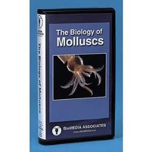  Branches on the Tree of Life Molluscs DVD Industrial 