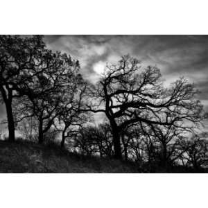  Stormy Landscape, Limited Edition Photograph, Home Decor 