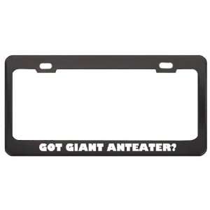  Got Giant Anteater? Animals Pets Black Metal License Plate 