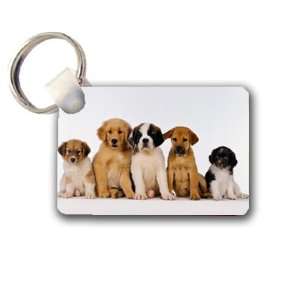  Cute puppies Keychain Key Chain Great Unique Gift Idea 