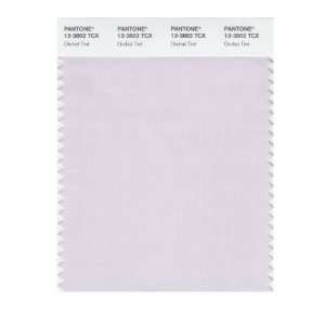  PANTONE SMART 13 3802X Color Swatch Card, Orchid Tint 