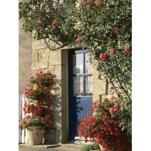 Exterior of a Blue Door Surrounded by Red Flowers, Roses and Geraniums 