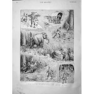  1895 Navy Officer Game Shooting India Elephant Hunting 