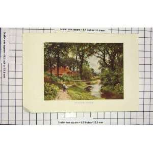  COLOUR PRINT VIEW BOURNE CHOBHAM RIVER TREE COUNTRY