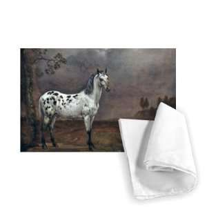  The Piebald Horse, 1653 (oil on canvas) by   Tea Towel 