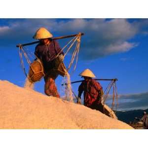  Female Labourers Carrying Sea Salt in Salt Fields of Doc 