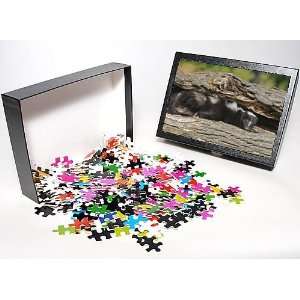   Puzzle of WAT 8 Striped Skunk from Ardea Wildlife Pets Toys & Games